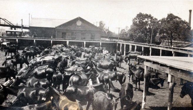 Newport News Remount Depot