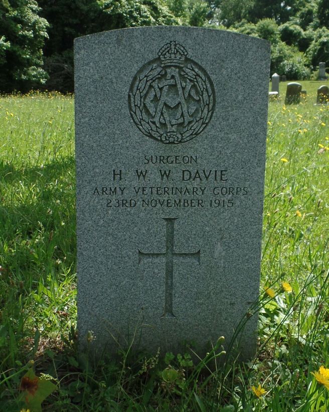 The grave of Dr Henry William Wilson Davie MRCVS at Greenlawn Cemetery, Newport News