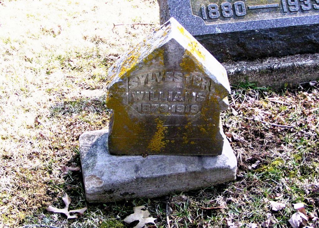 The family marker on the grave of Private Sylvester Williams