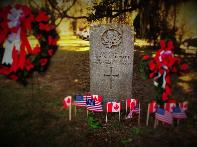 The grave of Private James Stewart, 11 November 2015